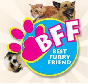bff