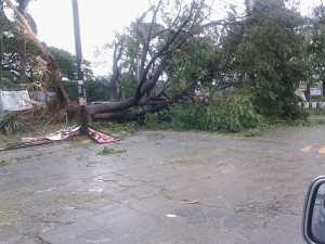 El Grande St. (BF Homes) Photo by Richard Michael Castillo