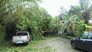 BPI Housing Photo by Randy Kanapi