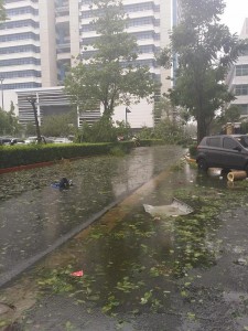 Northgate Photo by @ysasays